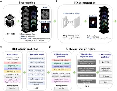 Deep learning-based quantification of brain atrophy using 2D T1-weighted MRI for Alzheimer’s disease classification